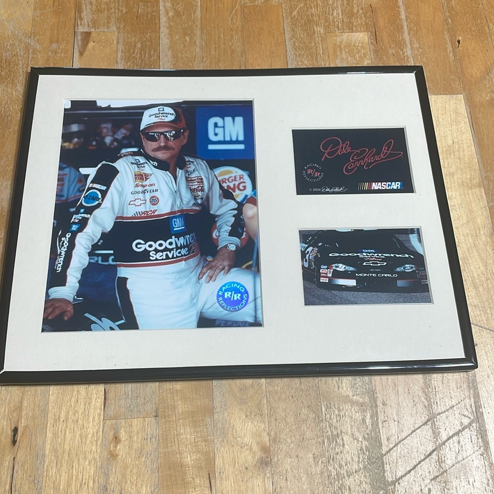 Dale Earnhardt Sr picture